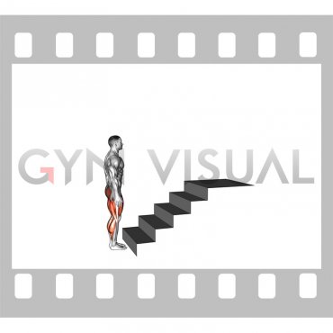Climbing Stairs (male)