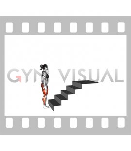 Climbing Stairs (female)