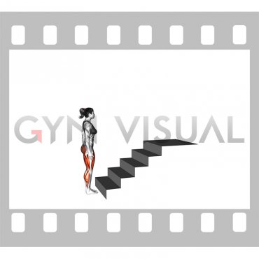Climbing Stairs (female)