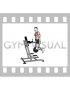 Weighted Tricep Dip