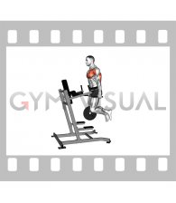 Weighted Tricep Dip