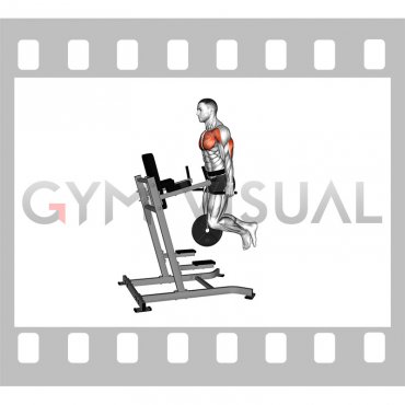 Weighted Tricep Dip