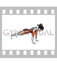 Shoulder Tap (female)