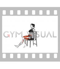 Seated Alternating Heel Toe Taps on a Chair (female)