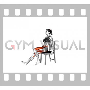 Seated Alternating Heel Toe Taps on a Chair (female)