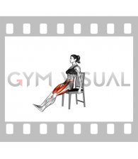 Seated Heel Toe Taps on a Chair (female)