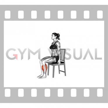 Seated Tip Toes on a Chair (female)