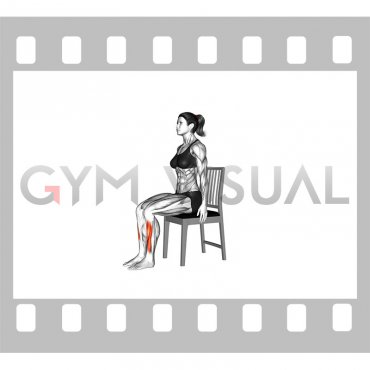 Seated Toe Raise on a Chair (female)