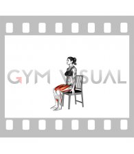 Hands Assisted Sit To Stand on a Chair (female)