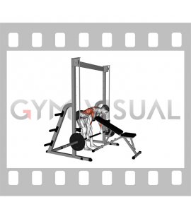 Smith Bent Over Row (chest supported)
