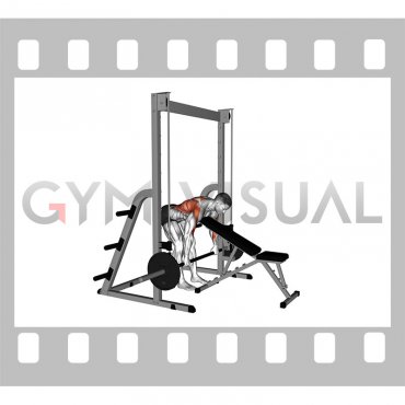 Smith Bent Over Row (chest supported)