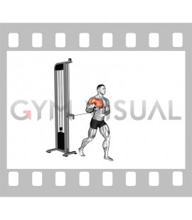 Cable Standing Single Arm Supinated Grip Chest Press