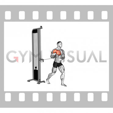 Cable Standing Single Arm Supinated Grip Chest Press