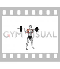 Barbell Standing Bradford Press
