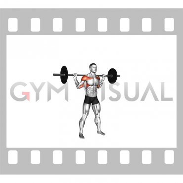 Barbell Standing Bradford Press