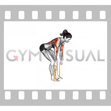 Resistance Band Bent Over Neutral Grip Row (female)