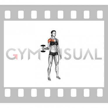 Dumbbell Standing Internal Rotation (female)
