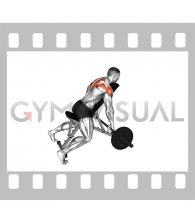 Barbell Incline Rear Delt Row