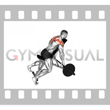 Barbell Incline Rear Delt Row