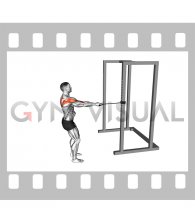 Band Standing Single Arm Wide Row