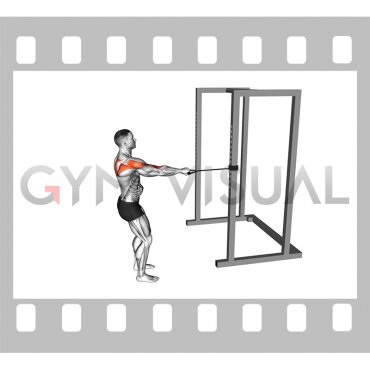 Band Standing Single Arm Wide Row