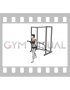 Band Incline Chest Fly (female)