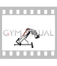 Bodyweight Hyperextension (VERSION 2) (female)