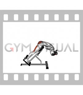 Bodyweight Hyperextension (VERSION 2) (female)