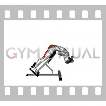 Bodyweight Hyperextension (VERSION 2) (female)
