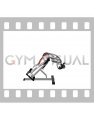 Bodyweight Hyperextension (VERSION 2) (female)