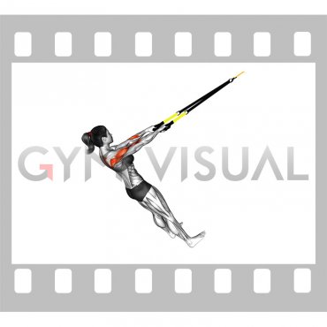 Suspender Wide Grip High Row (female)