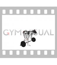 Barbell Staggered Stance Stiff Legged Deadlift (female)