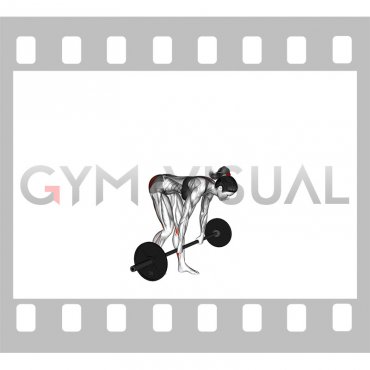 Barbell Staggered Stance Stiff Legged Deadlift (female)