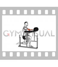 Kneeling Isometric Biceps Hold
