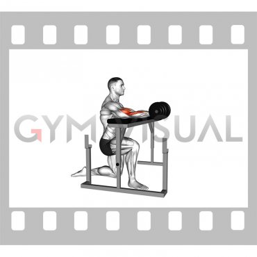 Kneeling Isometric Biceps Hold