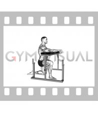 Single Arm Fingers Press with Ball (VERSION 2)