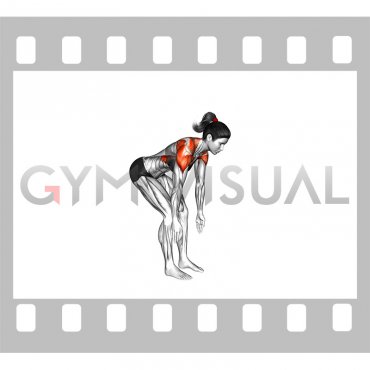 Bent Over Back to Side to Front Arms Raise (female)