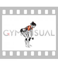 Dumbbell Bent Over Back to Side to Front Arms Raise (female)