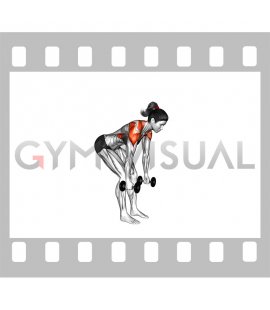 Dumbbell Bent Over Back to Side to Front Arms Raise (female)