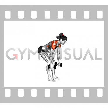 Dumbbell Bent Over Back to Side to Front Arms Raise (female)