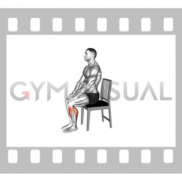 Seated Calf Rock on a Chair (male)