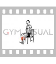 Seated Heel To Toe Raise on a Chair (male)