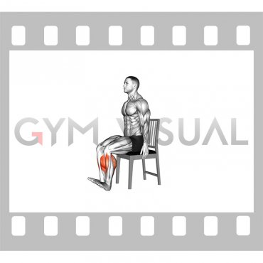Seated Heel To Toe Raise on a Chair (male)
