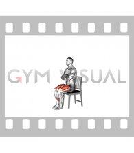 Partial Sit To Stand on a Chair (male)