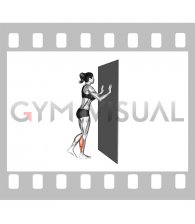Single Leg Calf Raise with Wall Support (female)