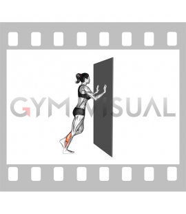 Incline Single Leg Calf Raise with Wall Support (female)