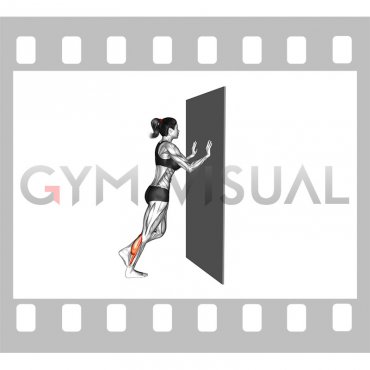 Incline Single Leg Calf Raise with Wall Support (female)
