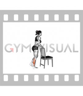 Single Leg Calf Raise with Chair Support (female)