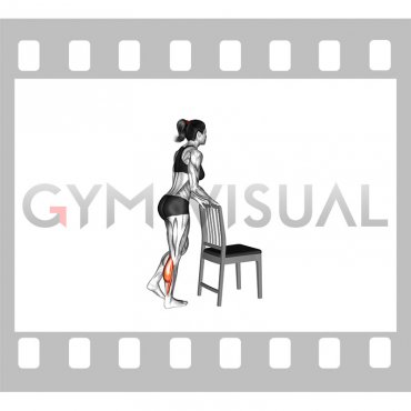 Single Leg Calf Raise with Chair Support (female)