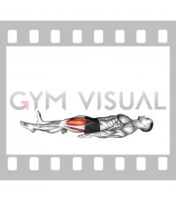 Static Quadriceps Contraction (Isometric) (male)